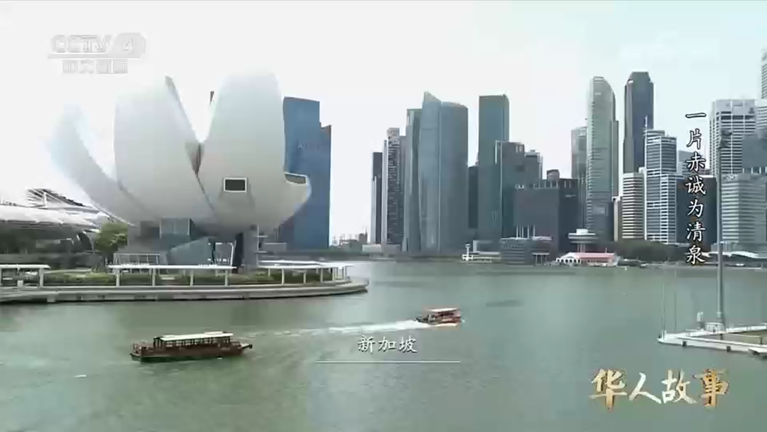 狮子会 - 打造绿色游戏娱乐