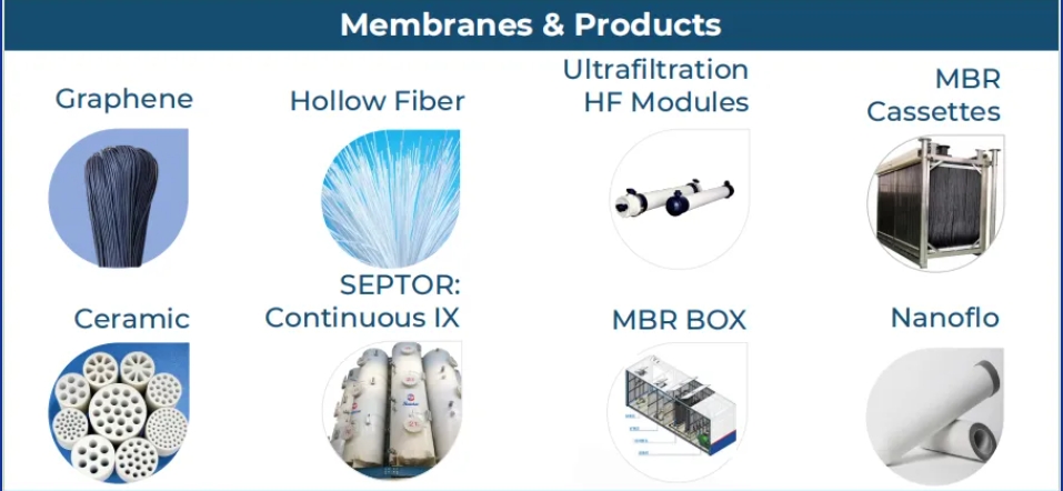 狮子会 - 打造绿色游戏娱乐