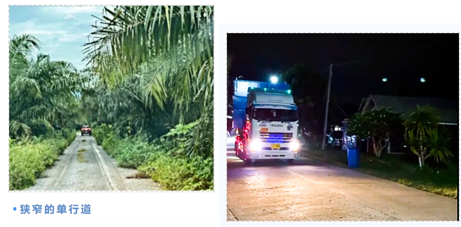 狮子会 - 打造绿色游戏娱乐