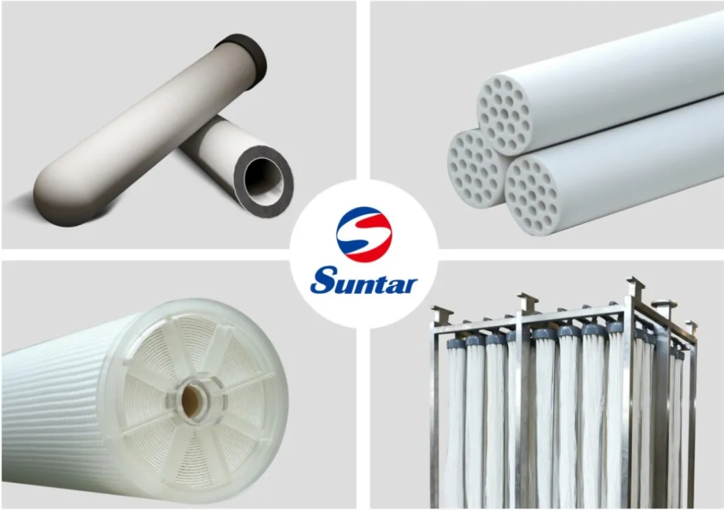 狮子会 - 打造绿色游戏娱乐