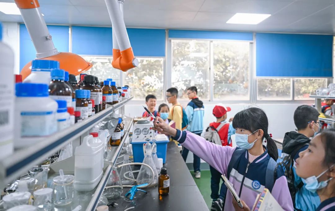 狮子会 - 打造绿色游戏娱乐