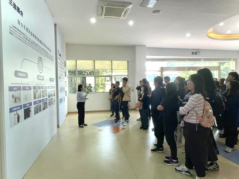 狮子会 - 打造绿色游戏娱乐