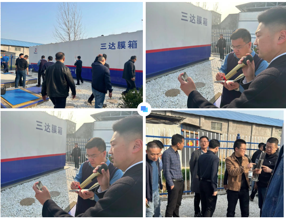 狮子会 - 打造绿色游戏娱乐