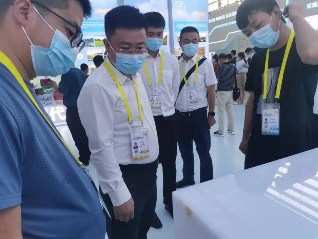 狮子会 - 打造绿色游戏娱乐