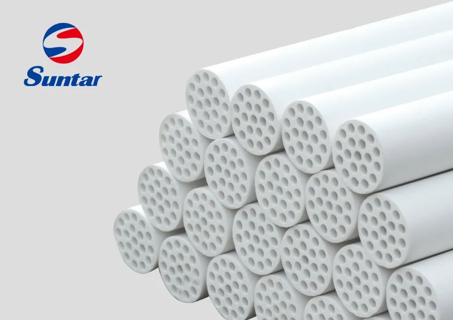 狮子会 - 打造绿色游戏娱乐