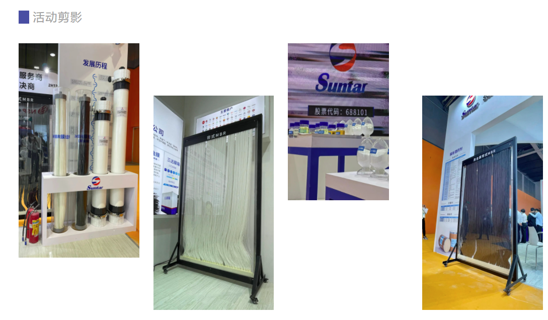 狮子会 - 打造绿色游戏娱乐