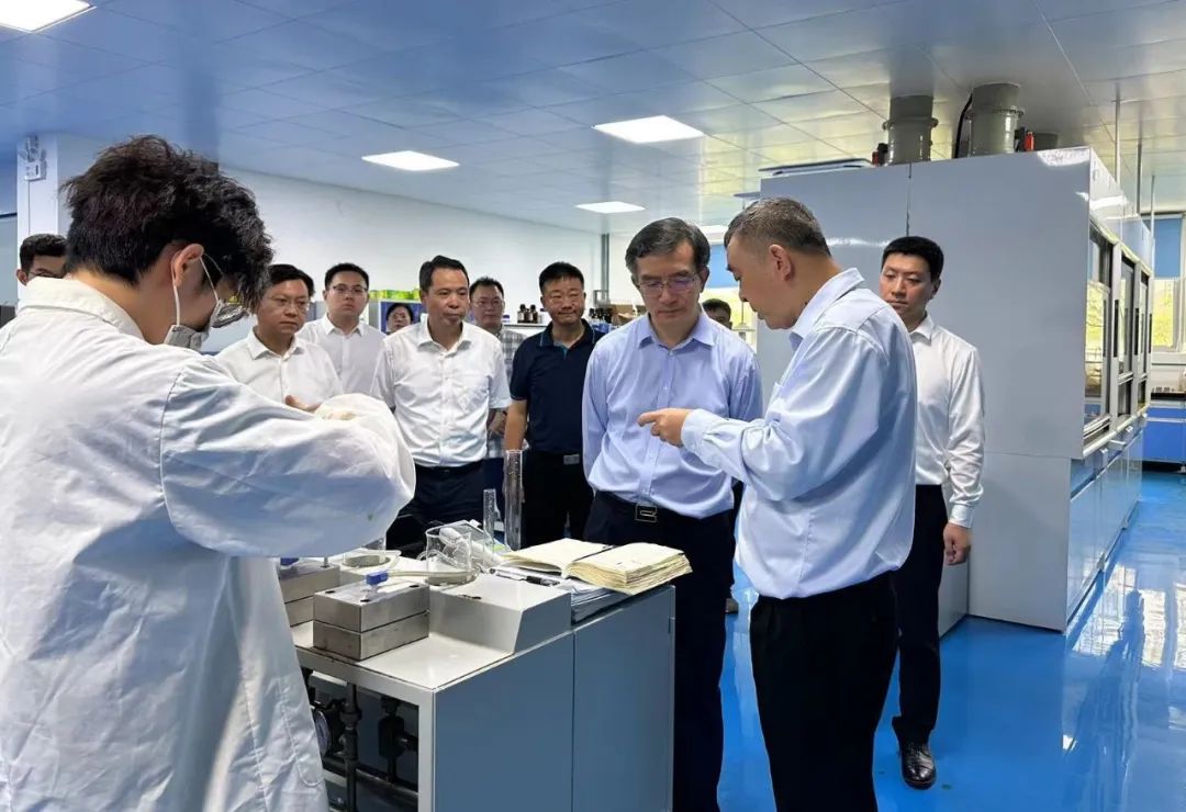 狮子会 - 打造绿色游戏娱乐