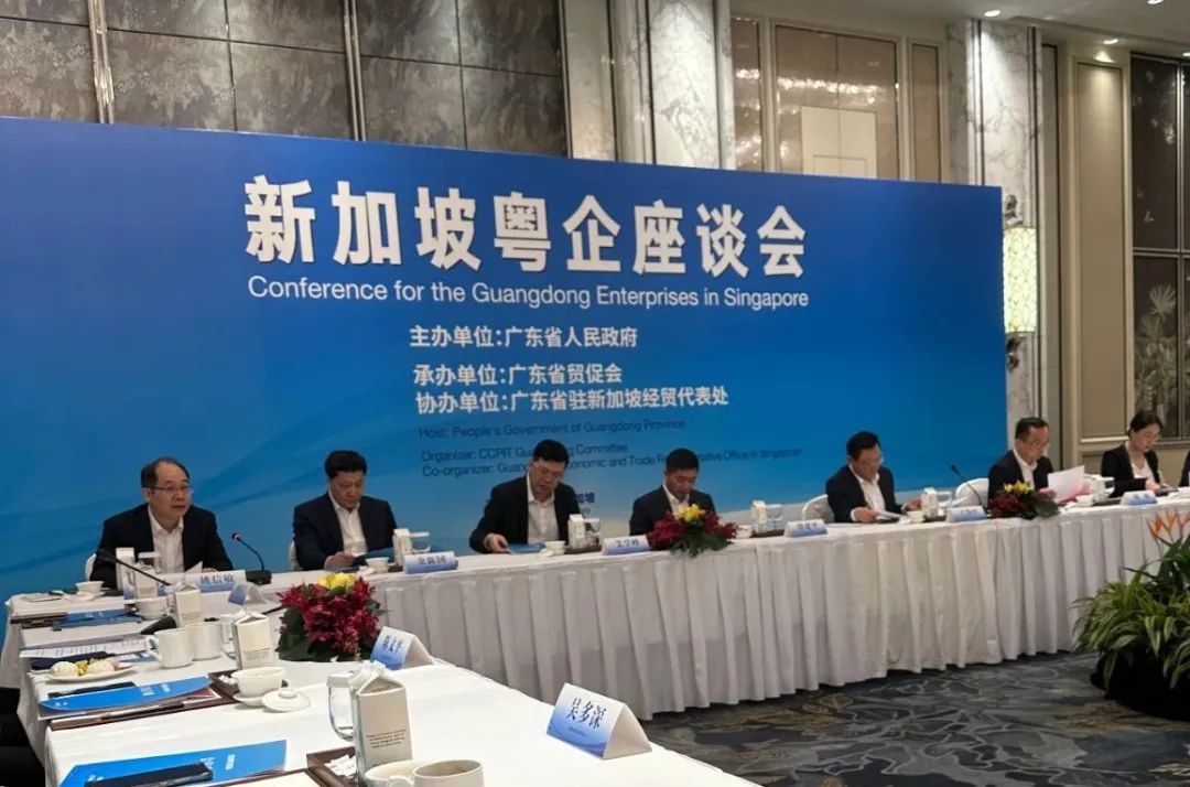 狮子会 - 打造绿色游戏娱乐