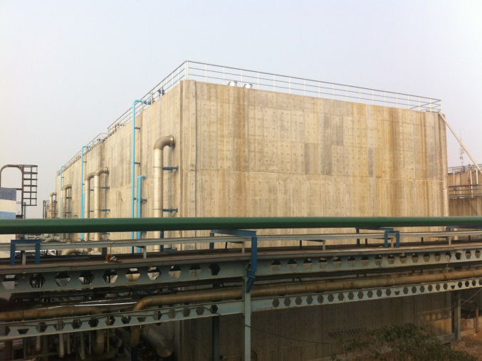 狮子会 - 打造绿色游戏娱乐