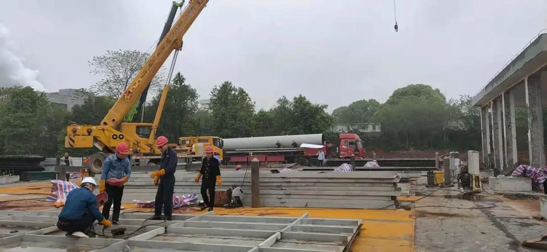 狮子会 - 打造绿色游戏娱乐