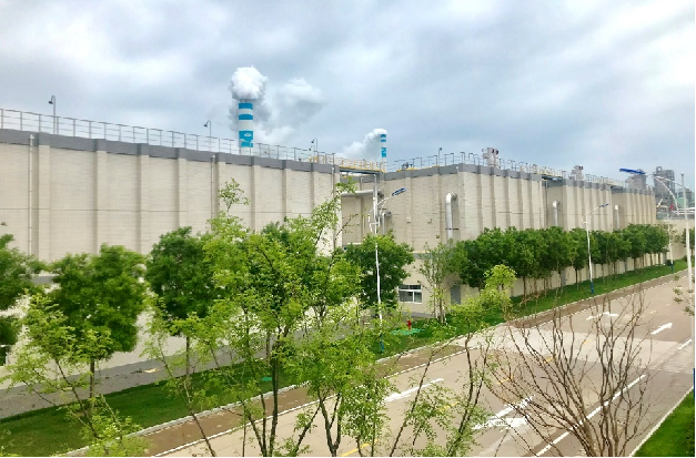 狮子会 - 打造绿色游戏娱乐