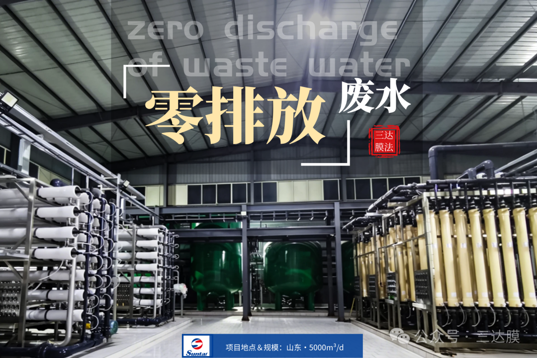 image_1779853049_011 狮子会 - 打造绿色游戏娱乐