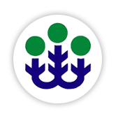 狮子会 - 打造绿色游戏娱乐