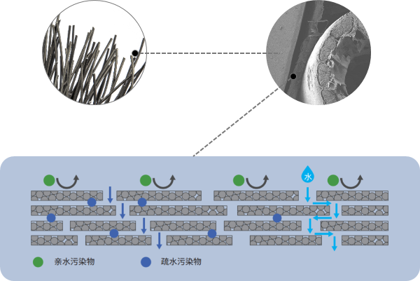 狮子会 - 打造绿色游戏娱乐