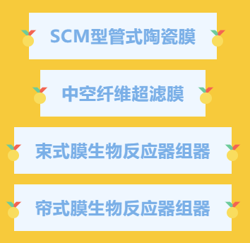 狮子会 - 打造绿色游戏娱乐