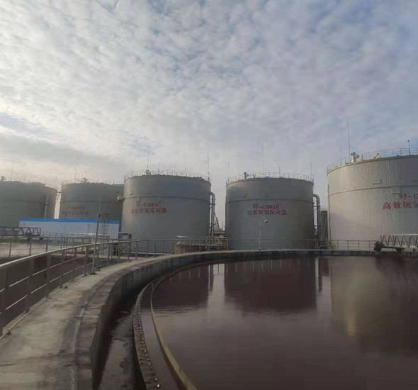 狮子会 - 打造绿色游戏娱乐